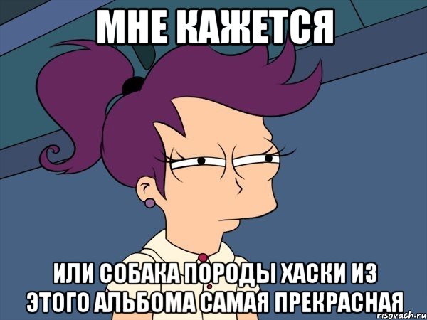 мне кажется или собака породы хаски из этого альбома самая прекрасная, Мем Мне кажется или (с Лилой)