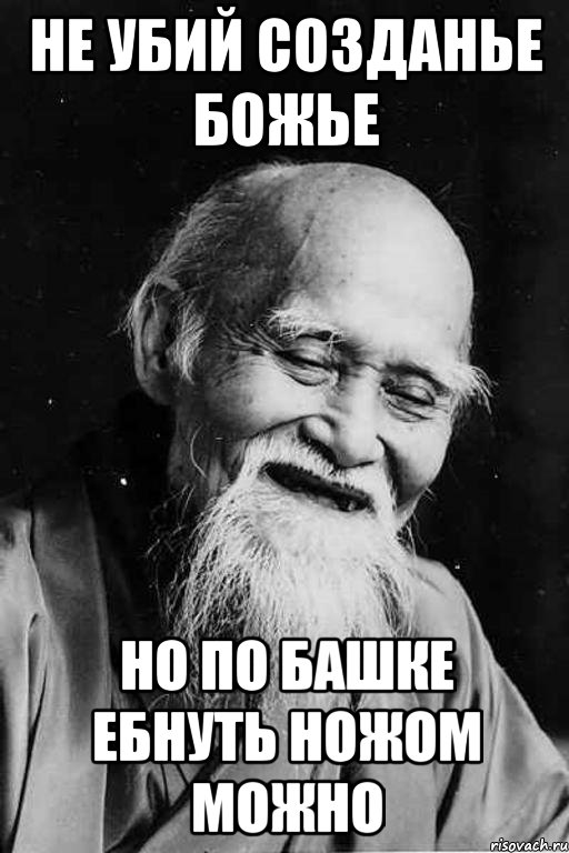 Не убий созданье божье Но по башке ебнуть ножом можно, Мем мудрец улыбается