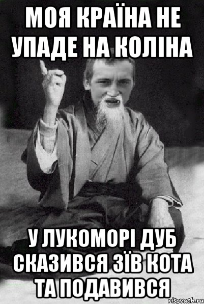 моя країна не упаде на коліна У лукоморі дуб сказився зїв кота та подавився, Мем Мудрий паца