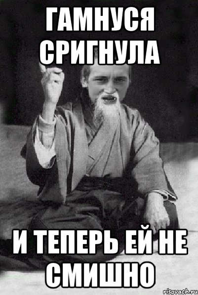 Гамнуся сригнула И теперь ей не смишно, Мем Мудрий паца