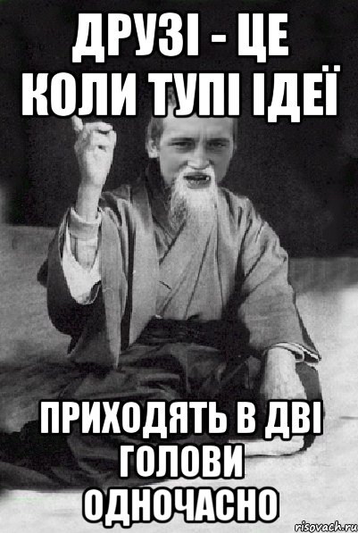 ДРУЗІ - ЦЕ КОЛИ ТУПІ ІДЕЇ ПРИХОДЯТЬ В ДВІ ГОЛОВИ ОДНОЧАСНО, Мем Мудрий паца