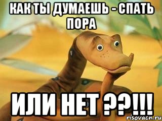 Как ты думаешь - спать пора или нет ??!!!