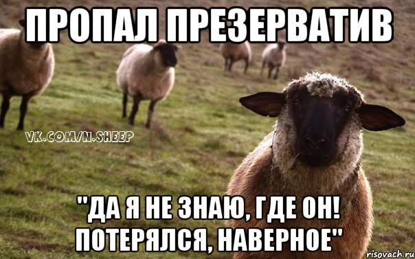 пропал презерватив "да я не знаю, где он! потерялся, наверное", Мем  Наивная Овца