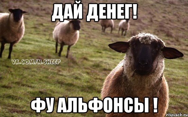 Дай денег! Фу альфонсы !, Мем  Наивная Овца