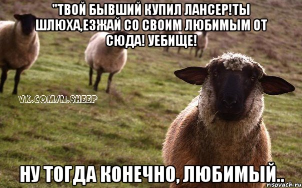 "Твой бывший купил лансер!ты шлюха,езжай со своим любимым от сюда! Уебище! Ну тогда конечно, любимый.., Мем  Наивная Овца