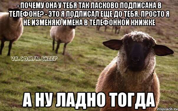 - почему она у тебя так ласково подписана в телефоне? - это я подписал еще до тебя. просто я не изменяю имена в телефонной книжке а ну ладно тогда, Мем  Наивная Овца