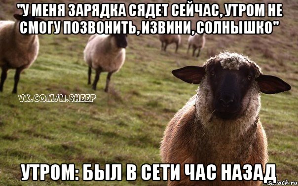 "у меня зарядка сядет сейчас, утром не смогу позвонить, извини, солнышко" Утром: был в сети час назад, Мем  Наивная Овца