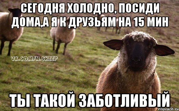 сегодня холодно, посиди дома,а я к друзьям на 15 мин ты такой заботливый, Мем  Наивная Овца