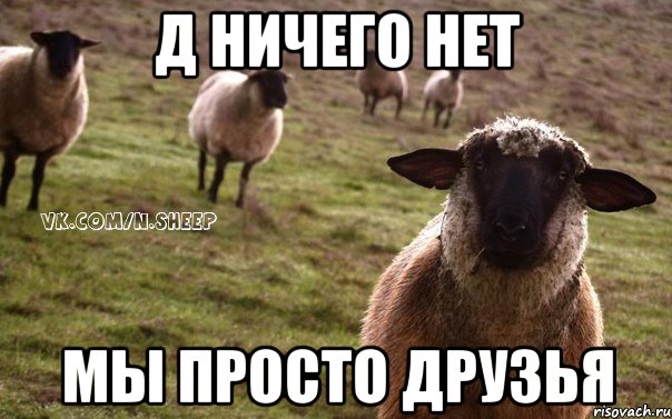 д ничего нет мы просто друзья, Мем  Наивная Овца