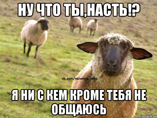 Ну что ты,Насть!? Я ни с кем кроме тебя не общаюсь, Мем  Наивная Овца