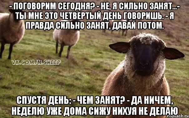 - поговорим сегодня? - не, я сильно занят...- ты мне это четвертый день говоришь. - я правда сильно занят, давай потом. спустя день: - чем занят? - да ничем, неделю уже дома сижу нихуя не делаю, Мем  Наивная Овца