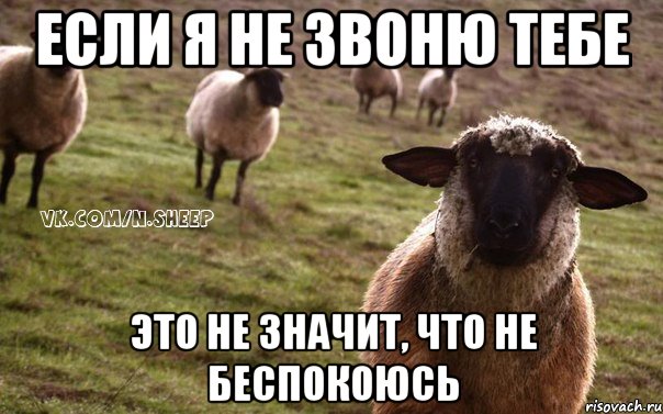 если я не звоню тебе это не значит, что не беспокоюсь, Мем  Наивная Овца
