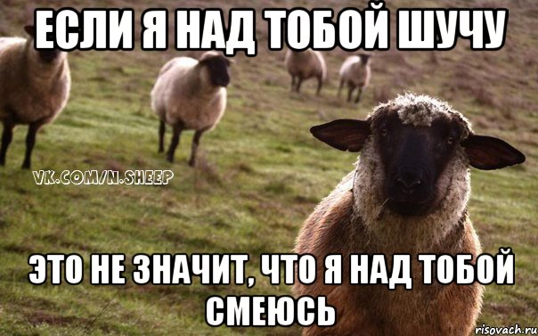 если я над тобой шучу это не значит, что я над тобой смеюсь, Мем  Наивная Овца