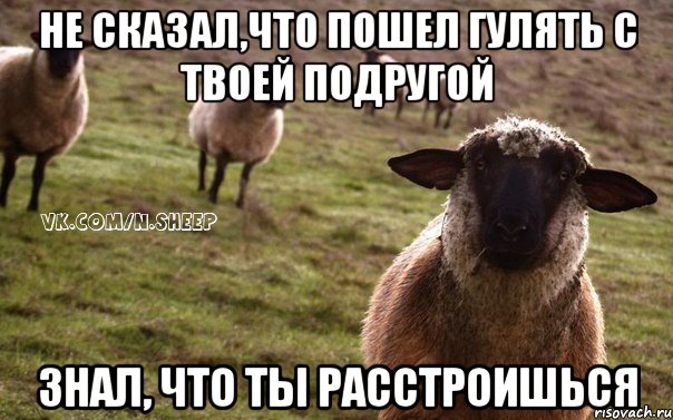 Не сказал,что пошел гулять с твоей подругой Знал, что ты расстроишься, Мем  Наивная Овца