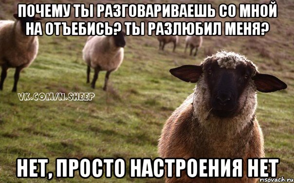 почему ты разговариваешь со мной на отъебись? ты разлюбил меня? нет, просто настроения нет, Мем  Наивная Овца