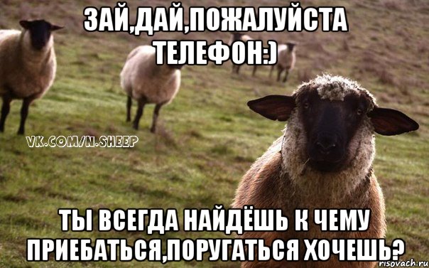 Зай,дай,пожалуйста телефон:) ты всегда найдёшь к чему приебаться,поругаться хочешь?, Мем  Наивная Овца