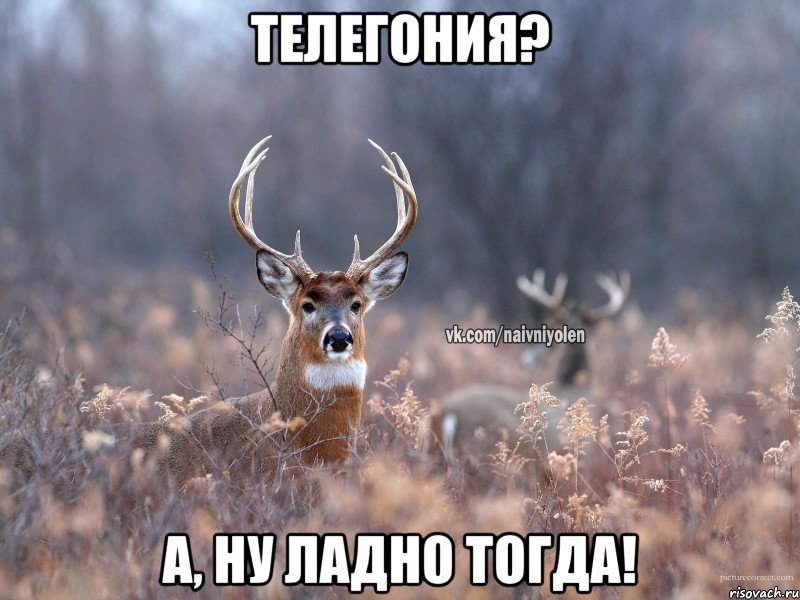 ТЕЛЕГОНИЯ? А, НУ ЛАДНО ТОГДА!