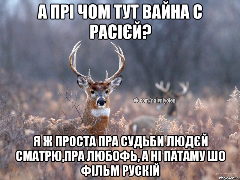 А ПРІ ЧОМ ТУТ ВАЙНА С РАСІЄЙ? Я Ж ПРОСТА ПРА СУДЬБИ ЛЮДЄЙ СМАТРЮ,ПРА ЛЮБОФЬ, А НІ ПАТАМУ ШО ФІЛЬМ РУСКІЙ, Мем   Наивный олень