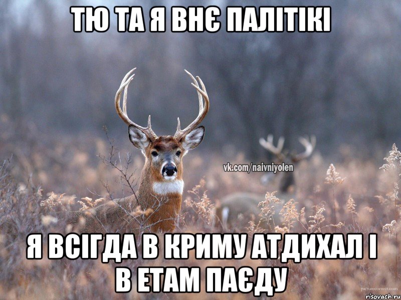 ТЮ ТА Я ВНЄ ПАЛІТІКІ Я ВСІГДА В КРИМУ АТДИХАЛ І В ЕТАМ ПАЄДУ, Мем   Наивный олень