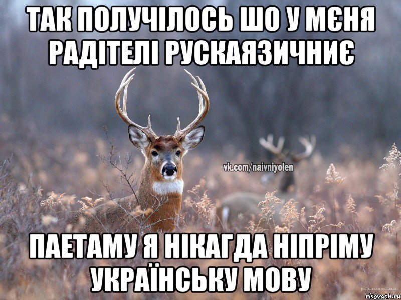 ТАК ПОЛУЧІЛОСЬ ШО У МЄНЯ РАДІТЕЛІ РУСКАЯЗИЧНИЄ ПАЕТАМУ Я НІКАГДА НІПРІМУ УКРАЇНСЬКУ МОВУ, Мем   Наивный олень