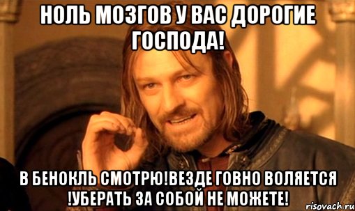 ноль мозгов у вас дорогие господа! в бенокль смотрю!везде говно воляется !уберать за собой не можете!, Мем Нельзя просто так взять и (Боромир мем)