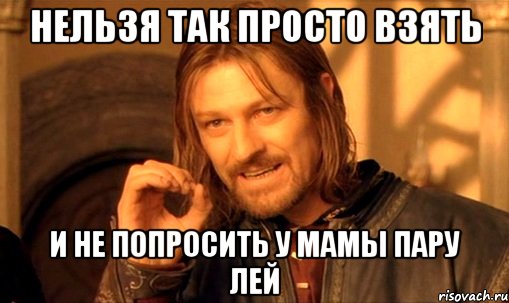 нельзя так просто взять и не попросить у мамы пару лей, Мем Нельзя просто так взять и (Боромир мем)