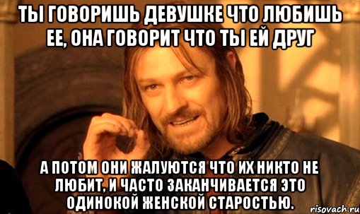 ты говоришь девушке что любишь ее, она говорит что ты ей друг а потом они жалуются что их никто не любит, и часто заканчивается это одинокой женской старостью., Мем Нельзя просто так взять и (Боромир мем)