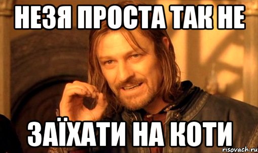 незя проста так не заїхати на коти, Мем Нельзя просто так взять и (Боромир мем)