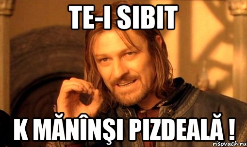 Te-i sibit k mănînşi pizdeală !, Мем Нельзя просто так взять и (Боромир мем)