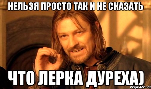 нельзя просто так и не сказать что Лерка дуреха), Мем Нельзя просто так взять и (Боромир мем)