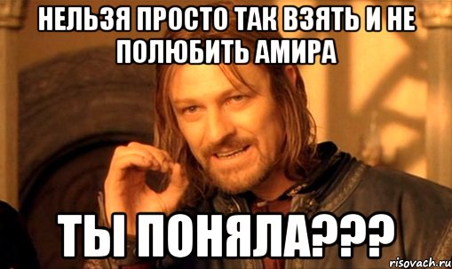 Нельзя просто так взять и не полюбить Амира Ты поняла???, Мем Нельзя просто так взять и (Боромир мем)