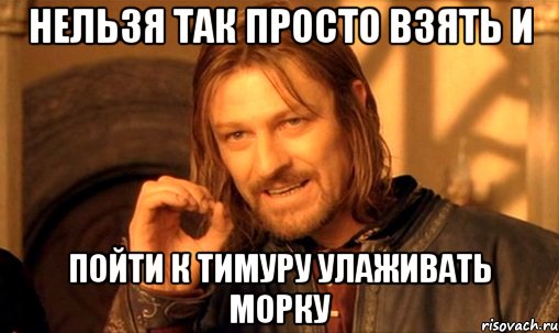 нельзя так просто взять и пойти к тимуру улаживать морку, Мем Нельзя просто так взять и (Боромир мем)