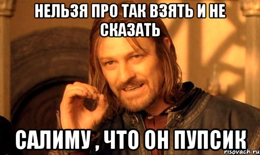 Нельзя про так взять и не сказать САЛИМУ , что он пупсик, Мем Нельзя просто так взять и (Боромир мем)