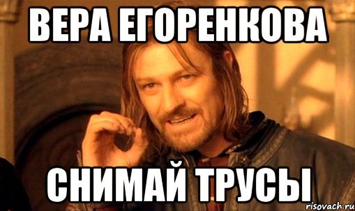 ВЕРА ЕГОРЕНКОВА СНИМАЙ ТРУСЫ, Мем Нельзя просто так взять и (Боромир мем)