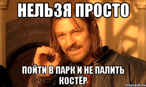 НЕльзя просто Пойти в парк и не палить костёр, Мем Нельзя просто так взять и (Боромир мем)