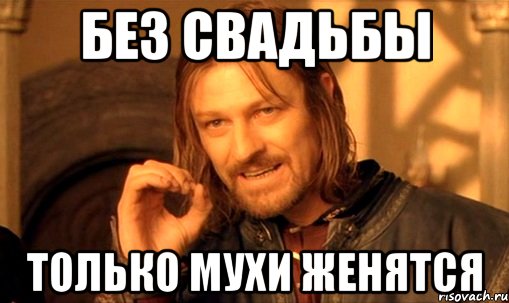 БЕЗ СВАДЬБЫ ТОЛЬКО МУХИ ЖЕНЯТСЯ, Мем Нельзя просто так взять и (Боромир мем)