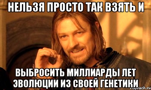 Нельзя просто так взять и выбросить миллиарды лет эволюции из своей генетики, Мем Нельзя просто так взять и (Боромир мем)