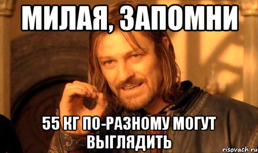 милая, запомни 55 кг по-разному могут выглядить, Мем Нельзя просто так взять и (Боромир мем)