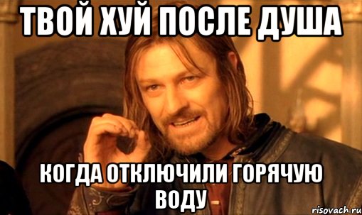 твой хуй после душа когда отключили горячую воду, Мем Нельзя просто так взять и (Боромир мем)