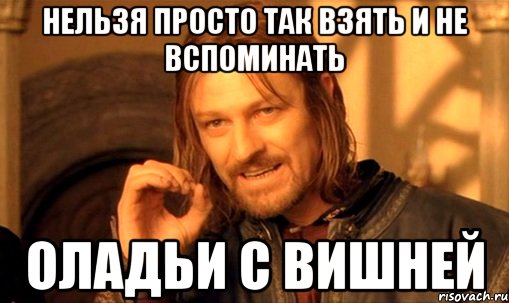 нельзя просто так взять и не вспоминать оладьи с вишней, Мем Нельзя просто так взять и (Боромир мем)