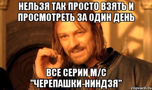 Нельзя так просто взять и просмотреть за один день все серии м/с "Черепашки-ниндзя", Мем Нельзя просто так взять и (Боромир мем)