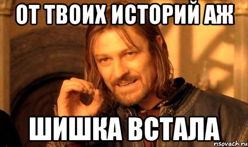 От твоих историй аж Шишка встала, Мем Нельзя просто так взять и (Боромир мем)