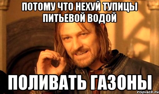 Потому что нехуй тупицы питьевой водой поливать газоны, Мем Нельзя просто так взять и (Боромир мем)