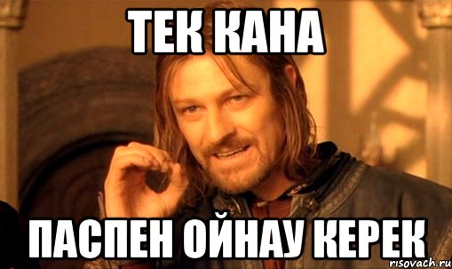 Тек кана паспен ойнау керек, Мем Нельзя просто так взять и (Боромир мем)