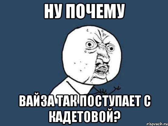 Ну почему Вайза так поступает с Кадетовой?, Мем Ну почему