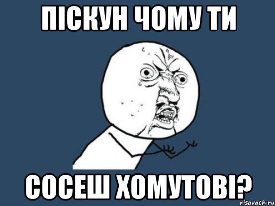 ПІСКУН ЧОМУ ТИ СОСЕШ ХОМУТОВІ?, Мем Ну почему