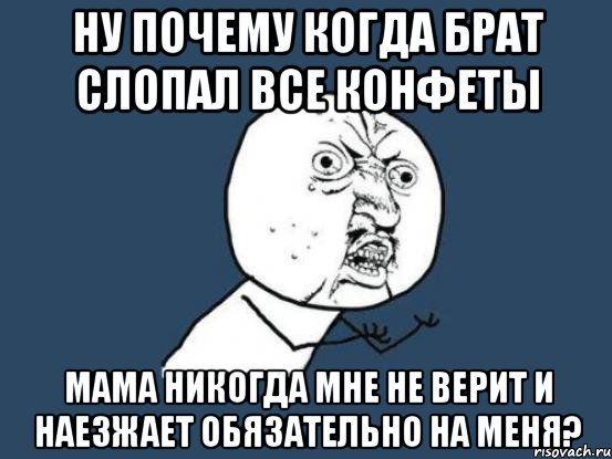 ну почему когда брат слопал все конфеты мама никогда мне не верит и наезжает обязательно на меня?, Мем Ну почему