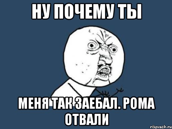 ну почему ты меня так заебал. рома отвали, Мем Ну почему