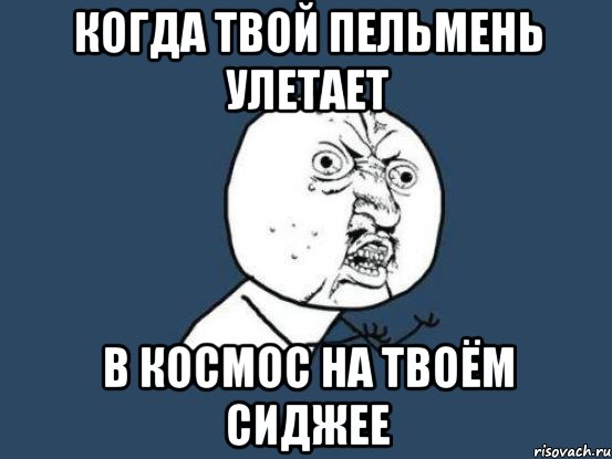 Когда твой пельмень улетает В космос на твоём сиджее, Мем Ну почему