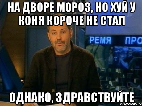 на дворе мороз, но хуй у коня короче не стал однако, здравствуйте, Мем Однако Здравствуйте